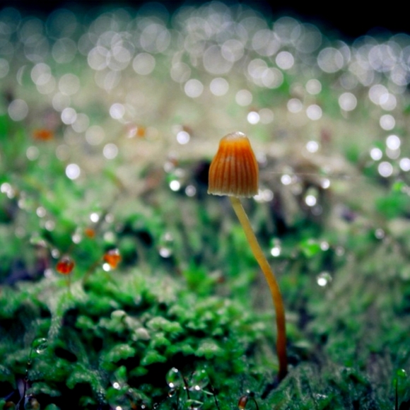 Lounge Closet - Picture 1 of 1